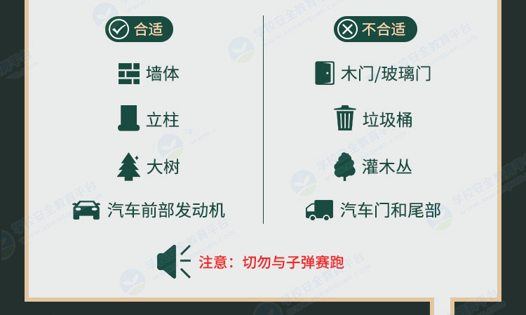 图片介绍